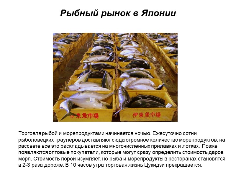 Рыбный рынок в Японии Торговля рыбой и морепродуктами начинается ночью. Ежесуточно сотни рыболовецких траулеров